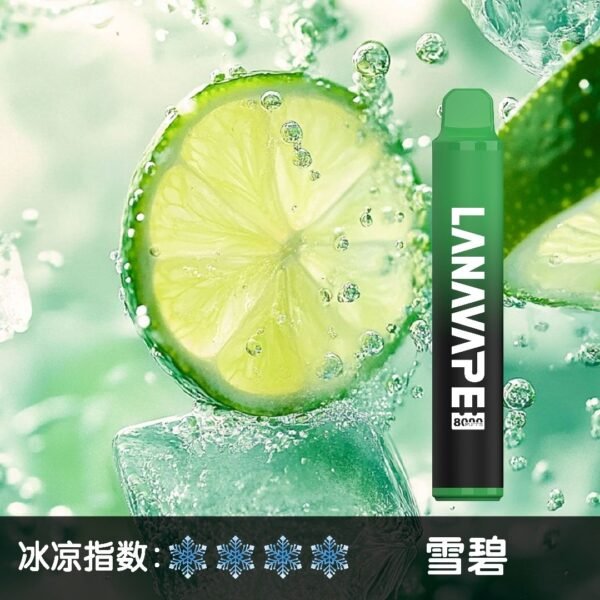 LANA 8000 PUFFS 拋棄式一次性電子煙 台灣電子煙推薦