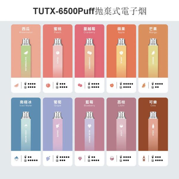 台灣現貨 TUTX 6500 Puffs 拋棄式電子煙 一次性大容量煙桿